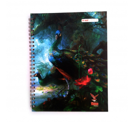 Cahier TP PM INTEGRAL Vilaluxe 17x22 syes 96 pages