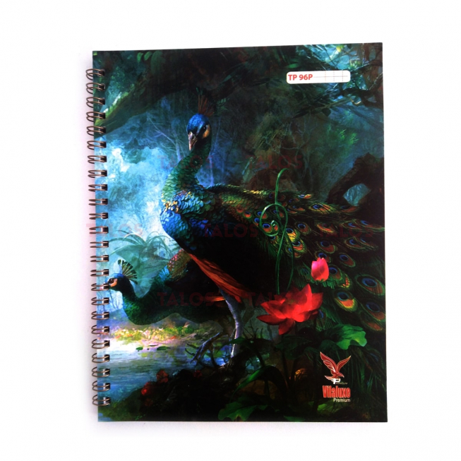 Cahier TP PM INTEGRAL Vilaluxe 17x22 syes 96 pages